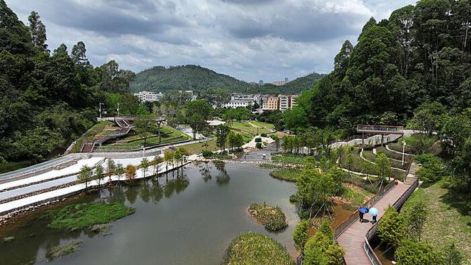 飞天茅台价格下跌，逼近2000元大关——市场动态与消费趋势分析